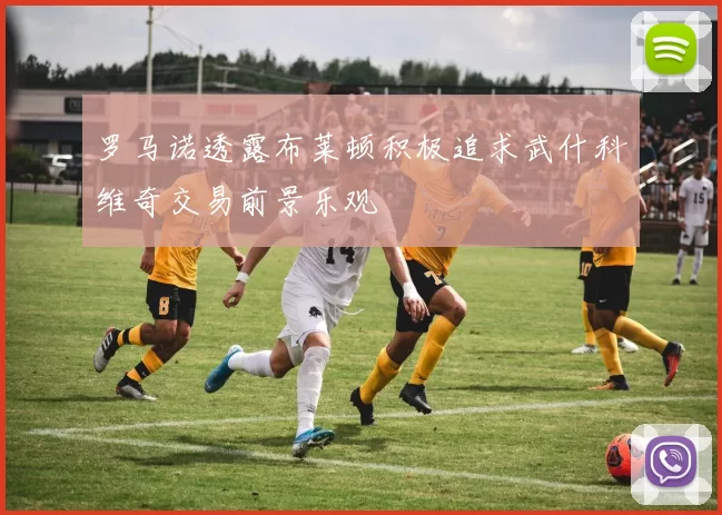罗马诺透露布莱顿积极追求武什科维奇交易前景乐观
